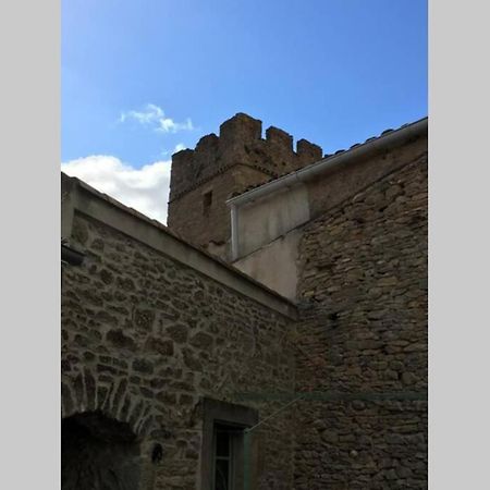 Le Petit Ormeau attenant à la Tour du Portail Neuf Apartamento Laure-Minervois Exterior foto