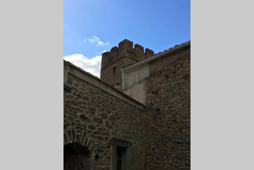 Le Petit Ormeau attenant à la Tour du Portail Neuf Apartamento Laure-Minervois Exterior foto